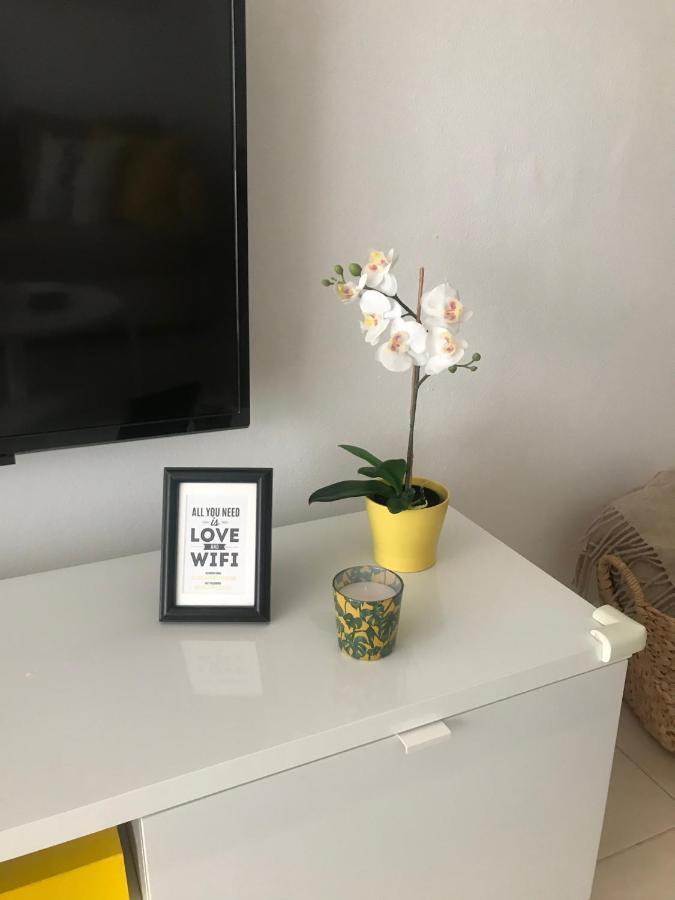 Designer'S Flat - 3 Bdrm - Wifi - Best Location Alicante Exterior foto